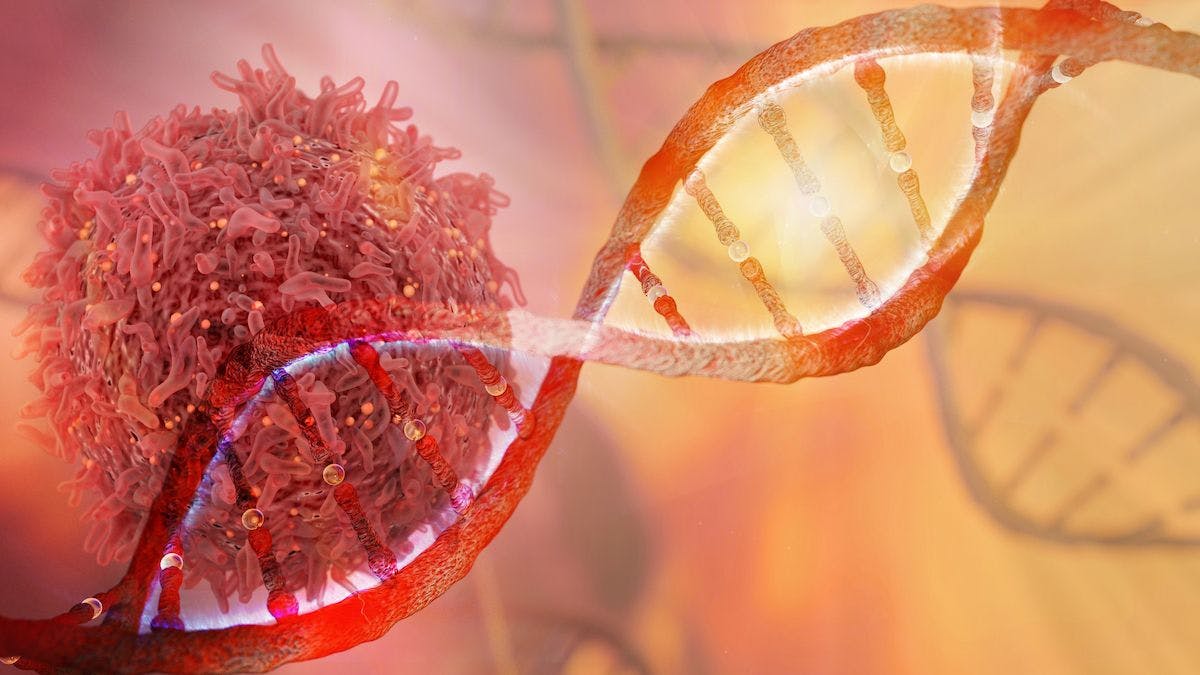 Investigators will evaluate DK210 in a first-in-human phase 1 clinical trial following the FDA’s review of an investigational new drug application for the compound for locally advanced or metastatic EGFR-positive solid tumors.