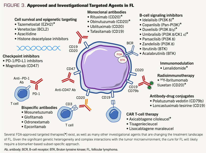 FIGURE 3. Approved and Investigational Targeted Agents in FL (originally appears in Cahill et al. ONCOLOGY (Williston Park). 2021.)