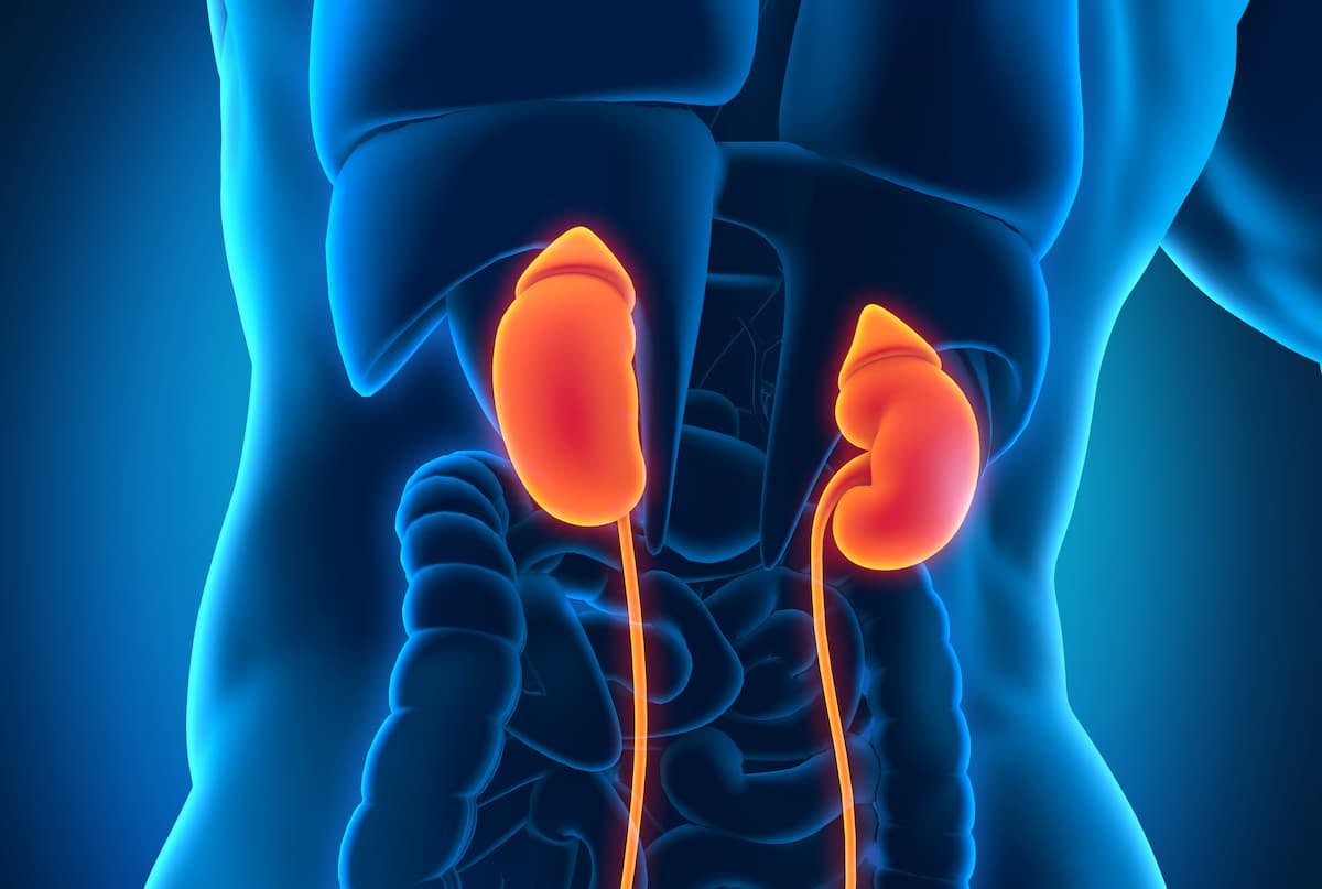 An expert from the University of Texas MD Anderson Cancer Center discussed kidney cancer treatment updates from a recent medical conference.