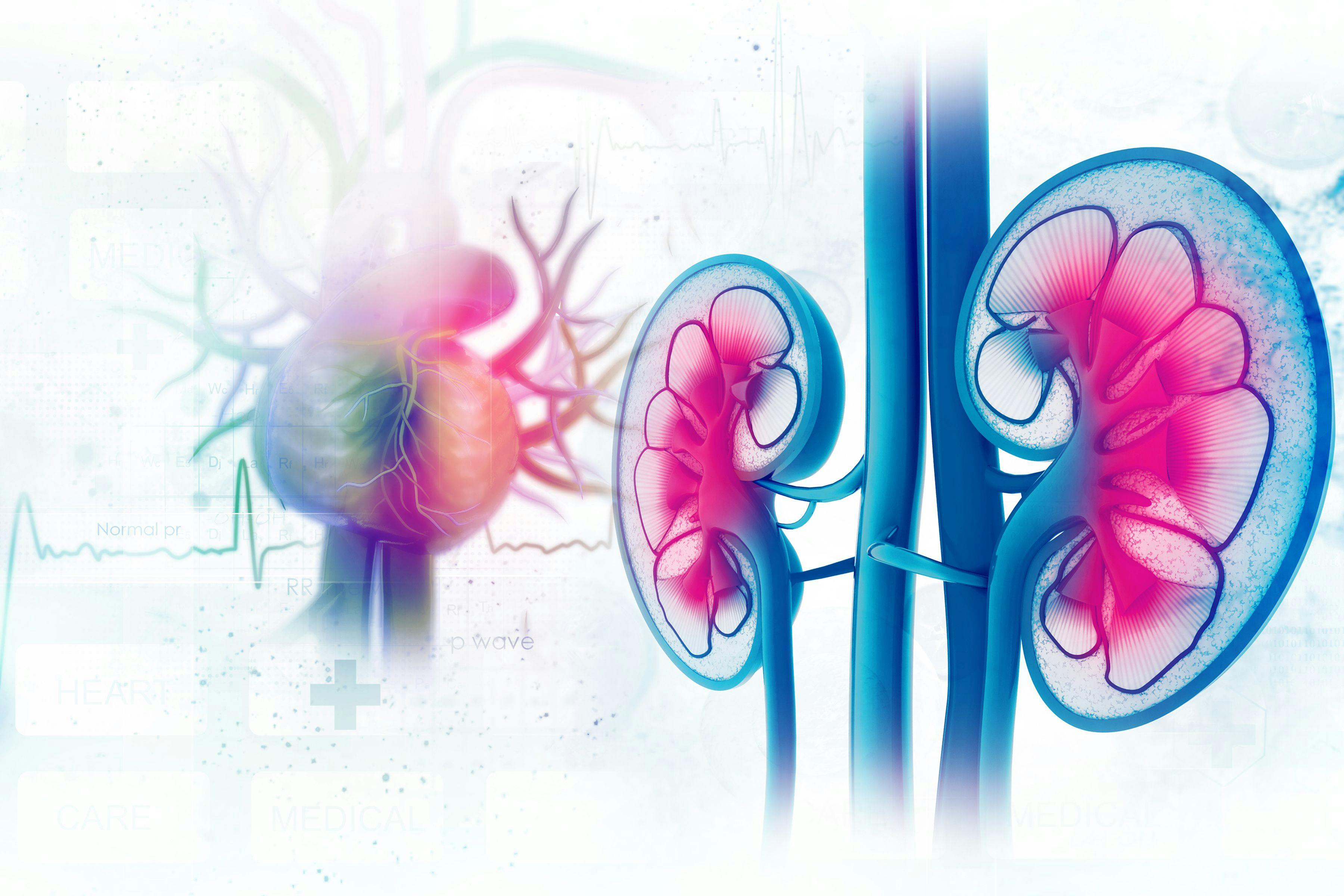 Despite the importance of incorporating palliative care into strategies for metastatic kidney cancer, little data exists in the space, highlighting a need for further research.