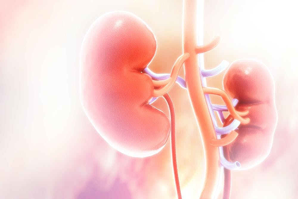 Patients with intermediate- and poor-risk metastatic renal cell carcinoma experienced promising responses after being treated with perioperative cabozantinib.
