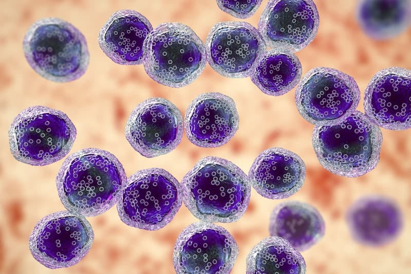 The FDA lifts its hold on a clinical program for lacutamab in lymphoma after a fatal adverse effect in the phase 2 TELLOMAK trial is determined to be related to aggressive disease progression. 