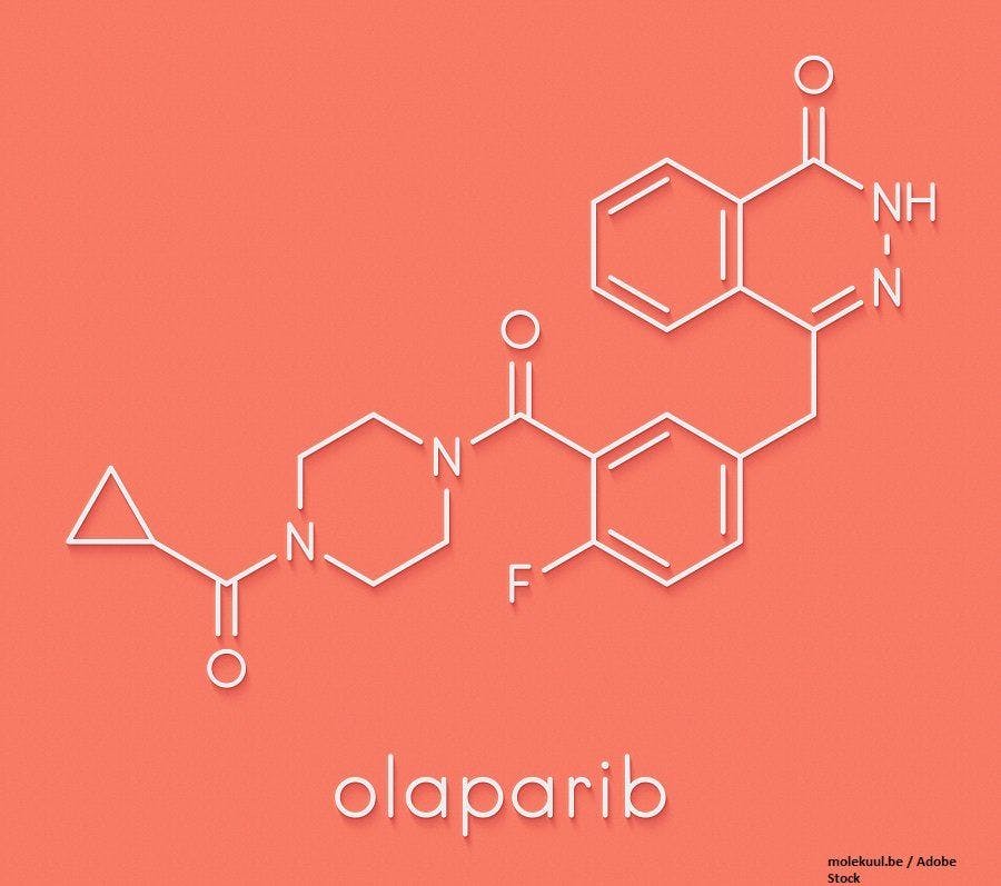 PARP inhibitor, ovarian cancer