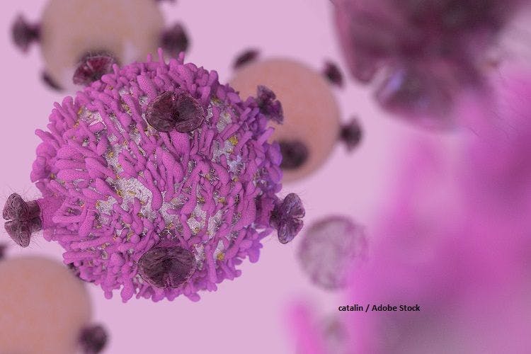 immune checkpoint inhibitor, immunotherapy, ovarian cancer