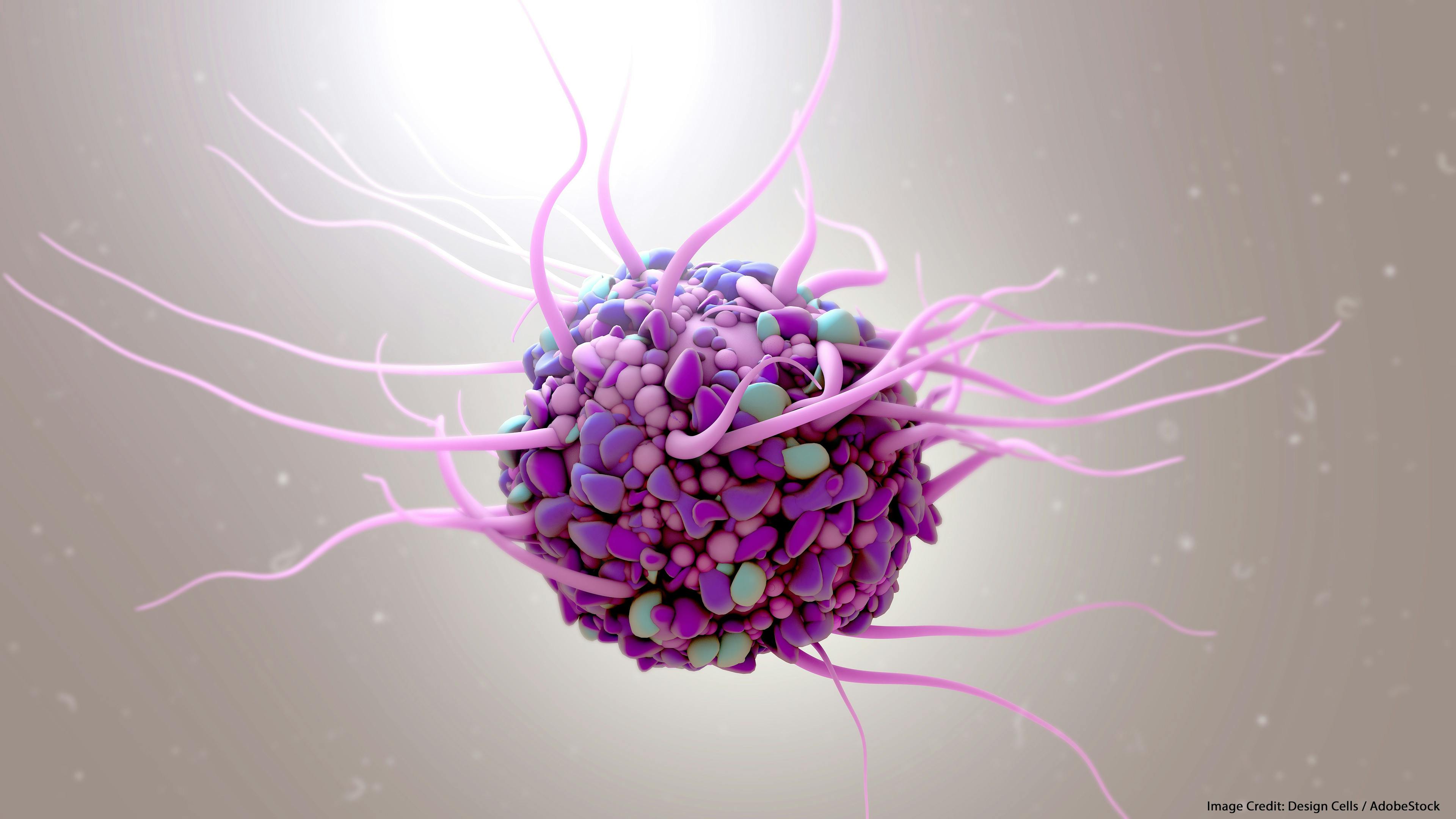 SGO 2019: Dendritic Cell–Based Immunotherapy Shows “Dramatic” Response for Ovarian Cancer