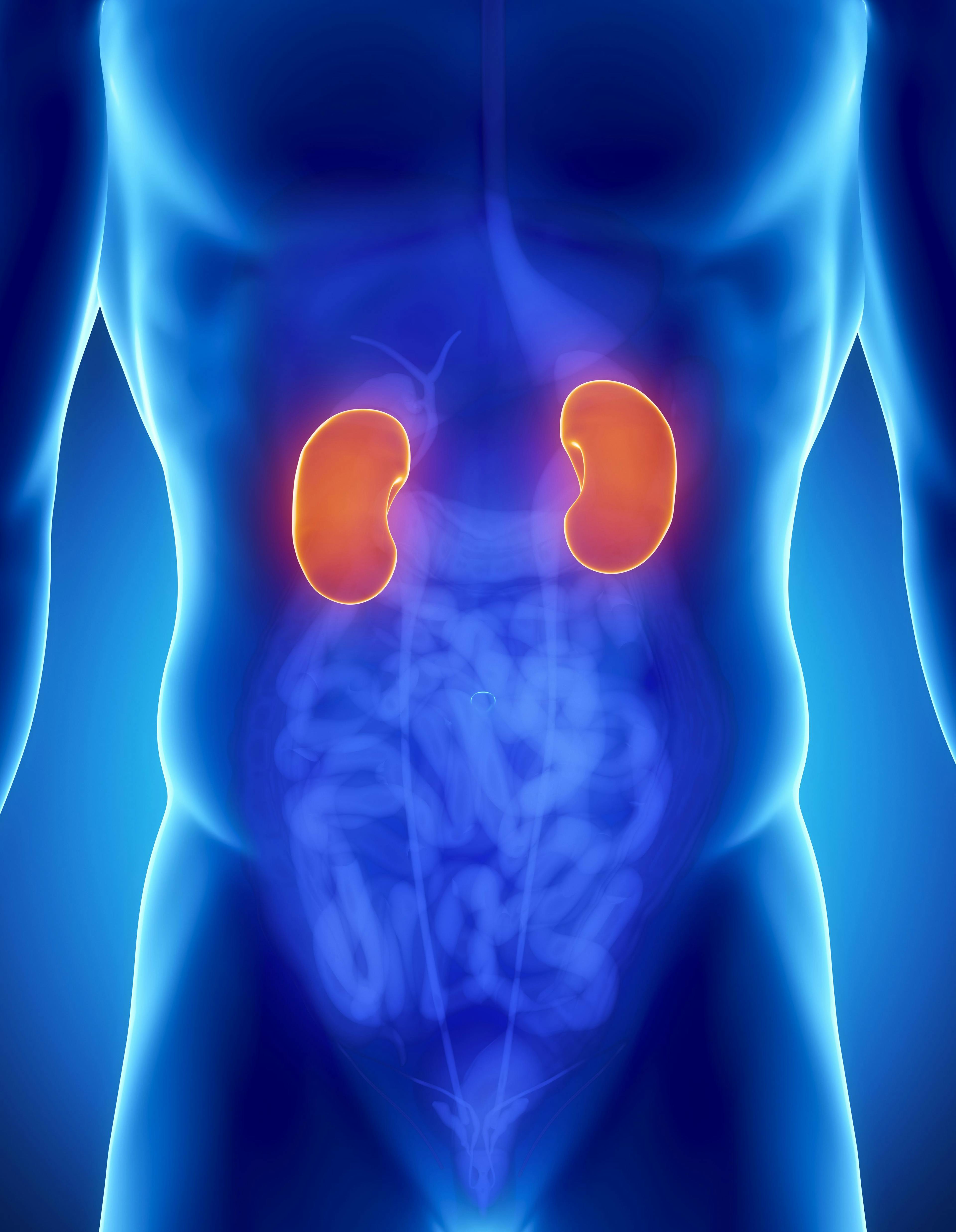 Belzutifan Improves QoL and Disease Progression Time in Advanced Kidney Cancer