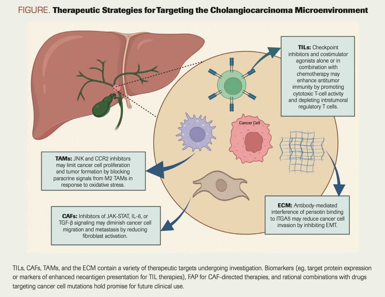 FIGURE. Therapeutic Strategies for Targeting the Cholangiocarcinoma Microenvironment