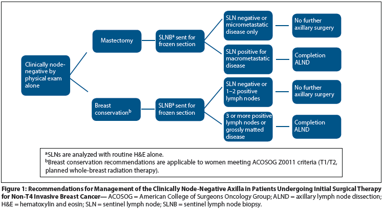 Management of the Clinically Node-Negative Axilla: What Have We Learned From the Clinical Trials? 
