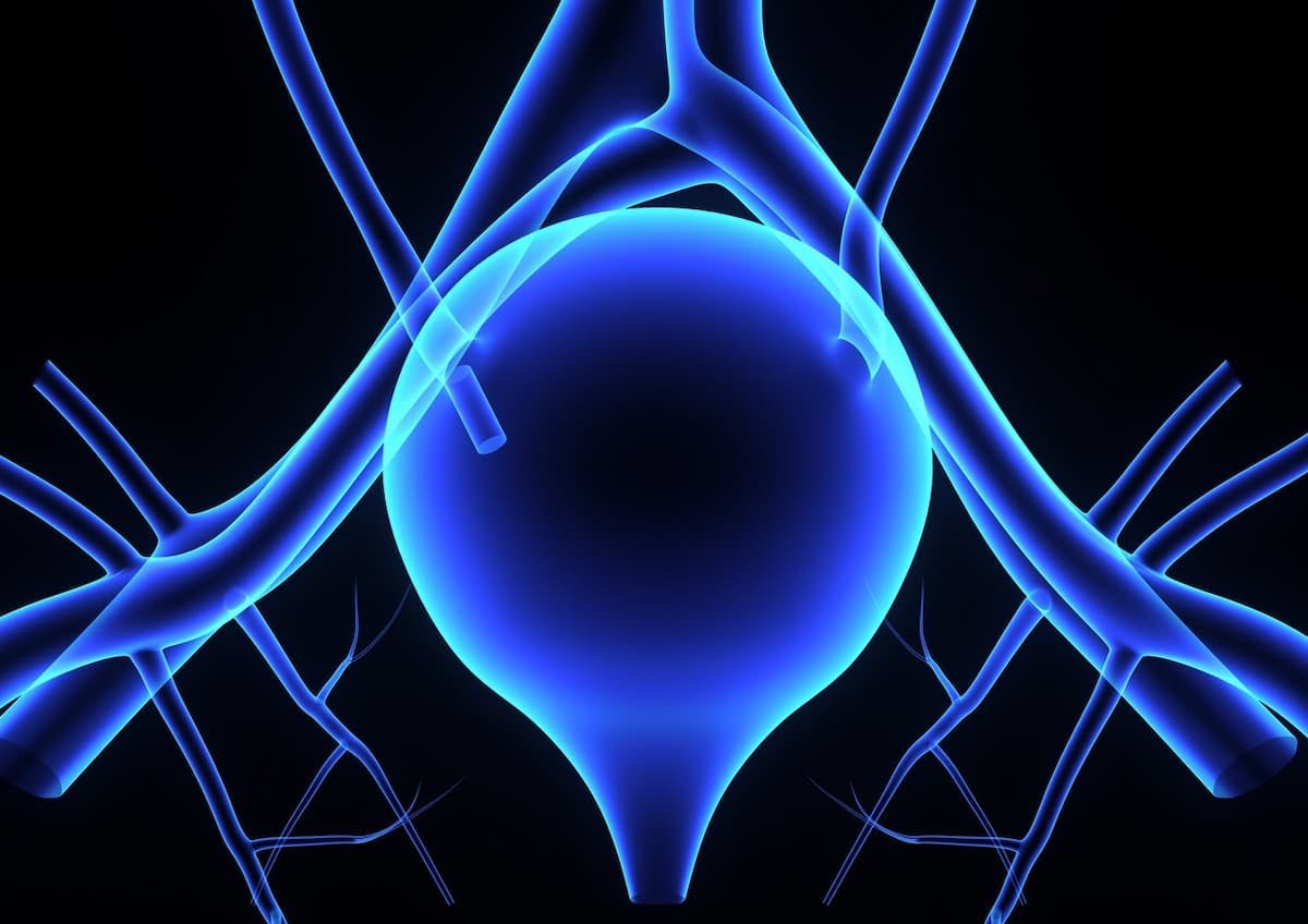 "The phase 3 THOR study supports the clinical efficacy of erdafitinib as the standard of care option for patients with metastatic urothelial cancer with FGFR alteration after immune checkpoint inhibitor treatment," according to an expert from University Paris-Saclay in France.