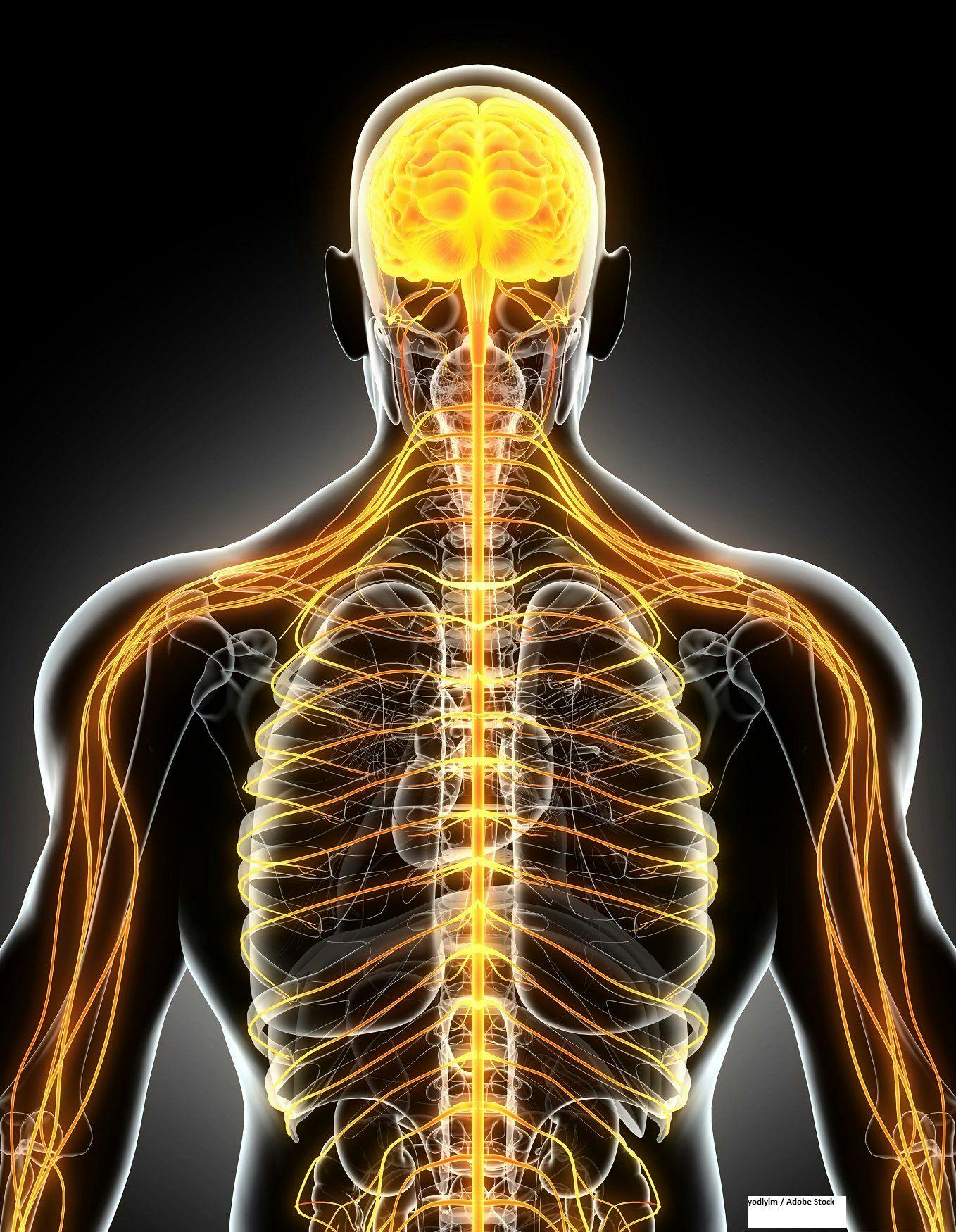 Mutation Detection Using Spinal Tap May Help Monitor CNS Lymphoma