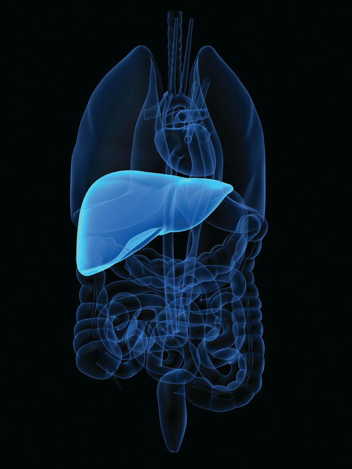 According to findings from a phase 2 clinical study, futibatinib may achieve benefit in patients with intrahepatic cholangiocarcinoma harboring FGFR2¬ rearrangements.