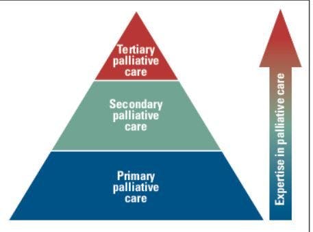 Effective Palliative Care: What Is Involved?