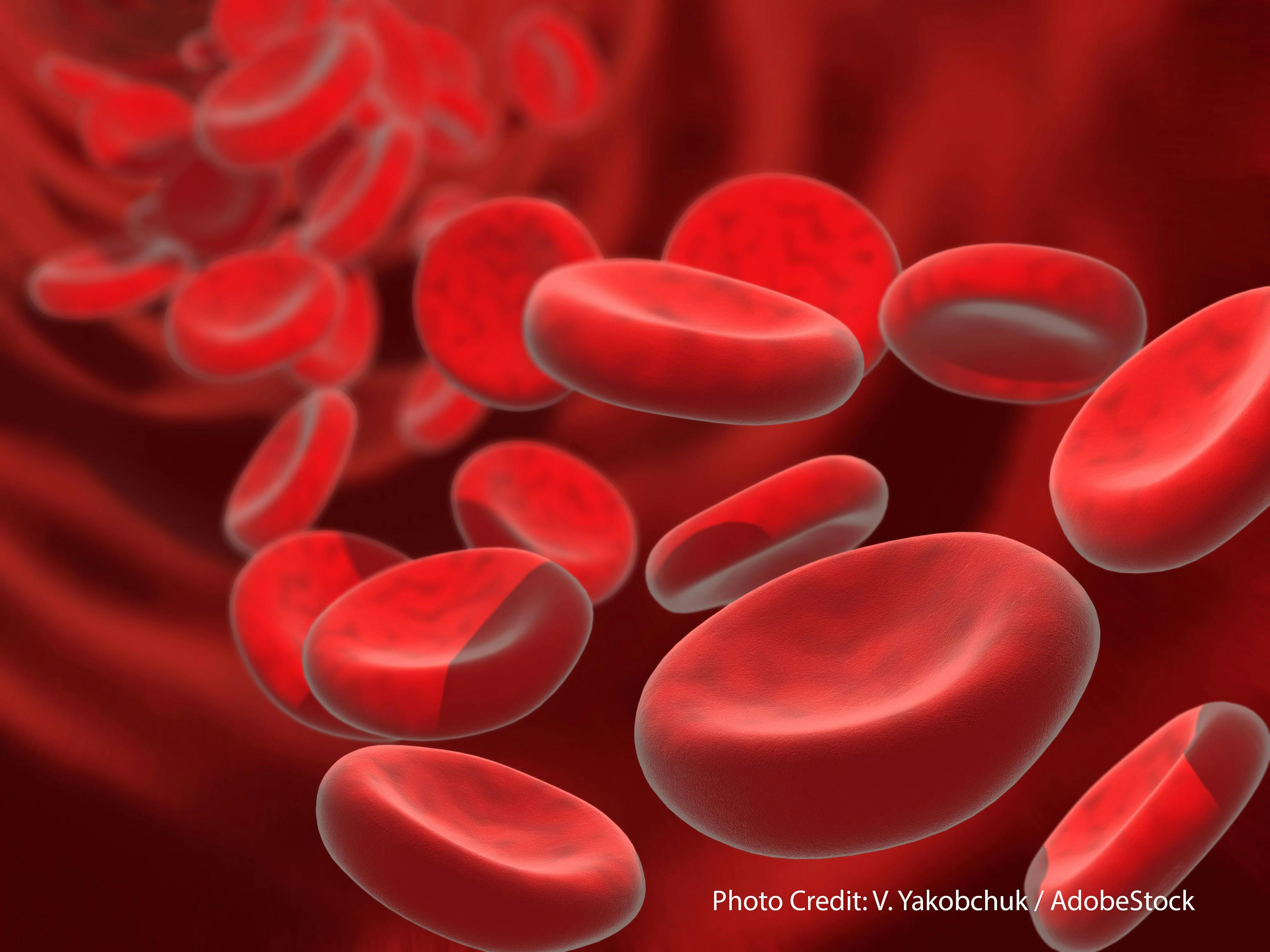 Supportive Care May Improve HSCT Experience in Geriatric Blood Cancers | Image Credit: © V. Yakobchuk - stock.adobe.com.
