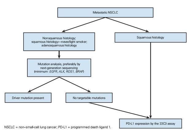 Newly Diagnosed Lung Cancer: Which Molecular Tests Are Needed for Optimal Treatment Decision Making?