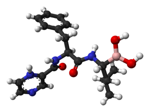 Chemical structure of bortezomib