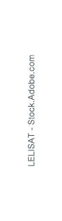 LELISAT Stock.Adobe.com